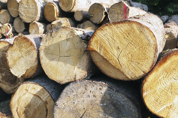 Schoenwaelder-Werkstatt-11